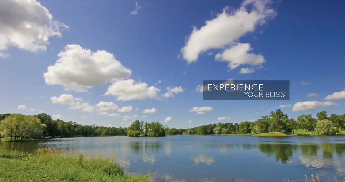 Experience Your Bliss with Light Axis Healing Light Axis Healing Session via Video Chat